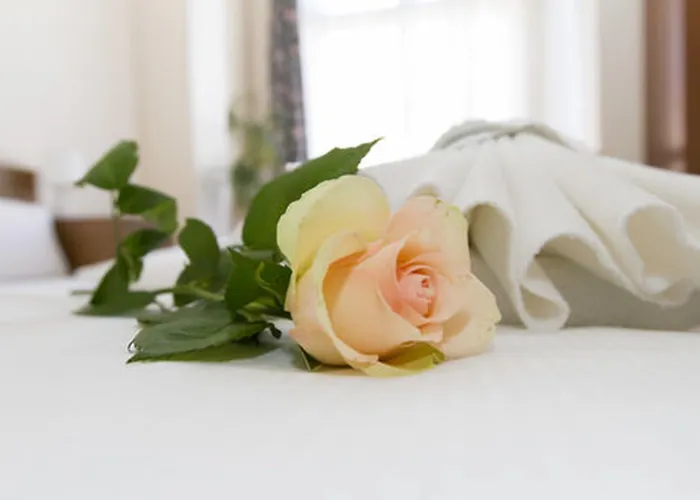 酒店 库弗斯藤达姆斯普瑞维特兹酒店