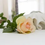 ホテル シュプリーヴィッツ アム クアフュルステンダム