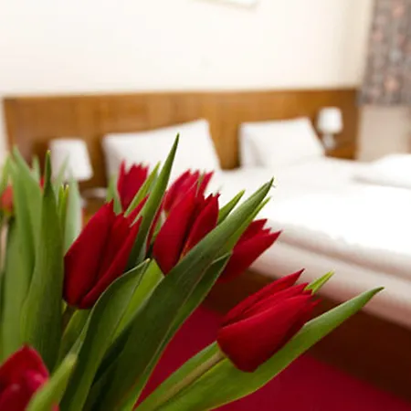 Hotell Spreewitz Am Kurfuerstendamm 3*