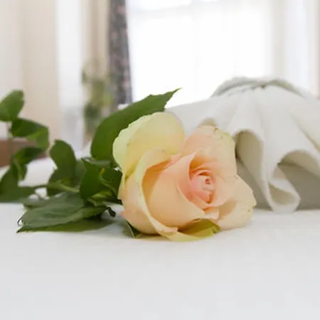 호텔 스프리위츠 암 쿠르퓌르스텐담